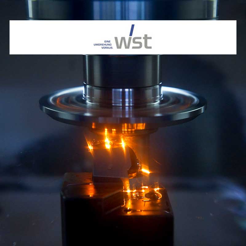 Logo WST - 